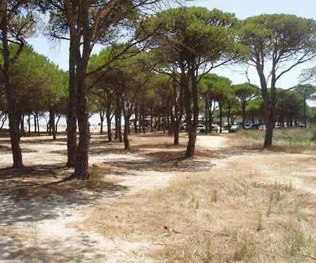 Casa Alice 아파트 *